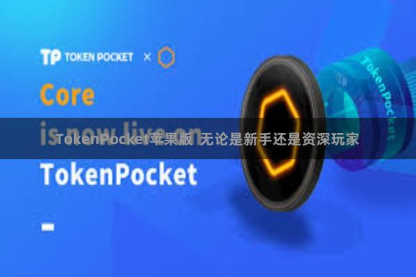 TokenPocket苹果版 无论是新手还是资深玩家